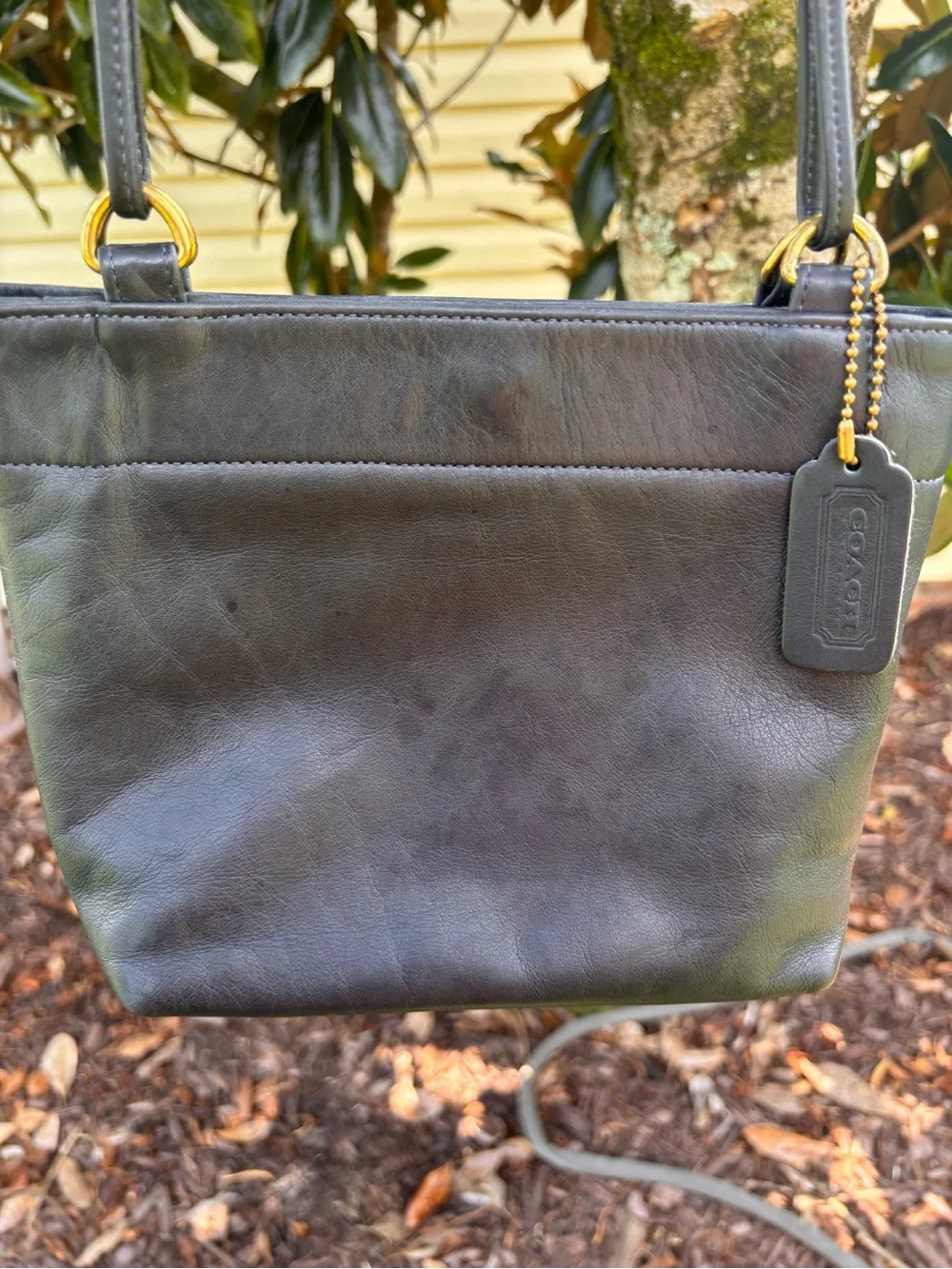 Authentic Vintage coach MINI DIXON
